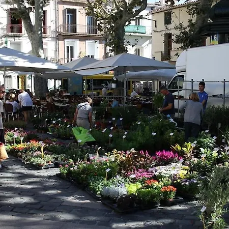 Hidden Gem Au Cœur De Sète&vue Sur Mont St Clair
